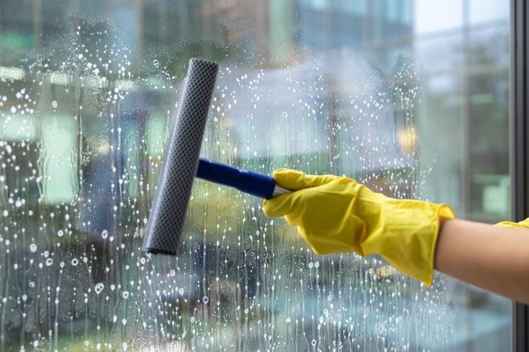 professional window washing Plantation FL